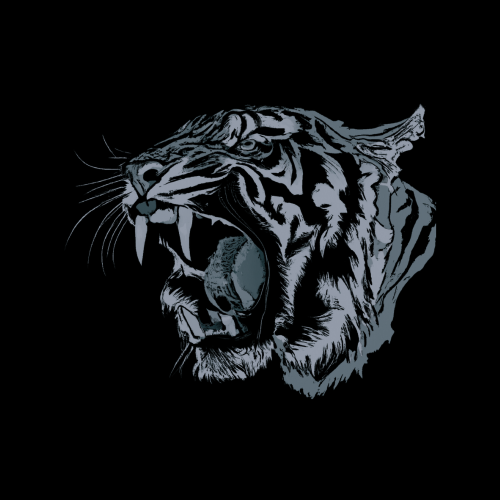 tiger_graphic